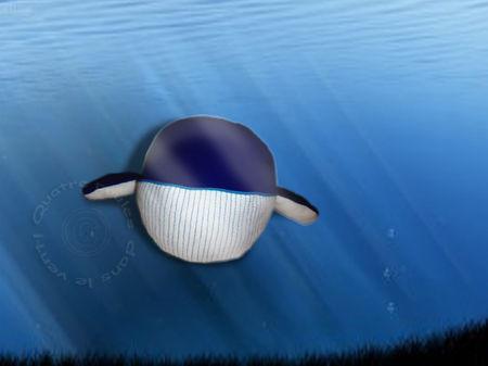 BALLE B COMME BALEINE balle_7