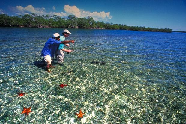 Y’A BON, BONE / YUMMY BONEFISH