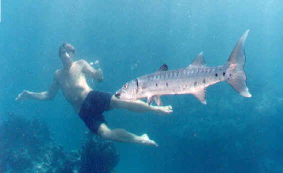 Y’A BON, BONE / YUMMY BONEFISH