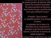 voyage d'une carte Japon