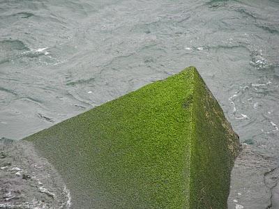 L'escapade de la cigogne