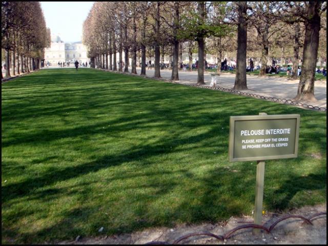 Pas disciplinés, les Français ?