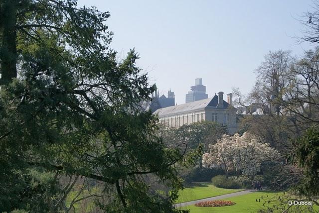 Le Jardin des Plantes de Nantes.