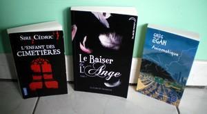 http://bazar-de-la-litterature.cowblog.fr/images/AutresBis/PARTE.jpg