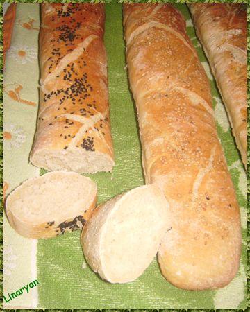 Mes 1ère baguettes maison IMGP0553
