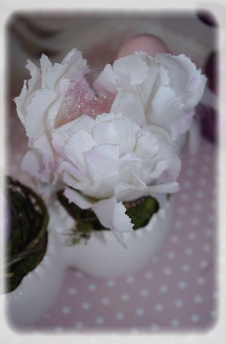 p_ques_rose_049_modifi__1