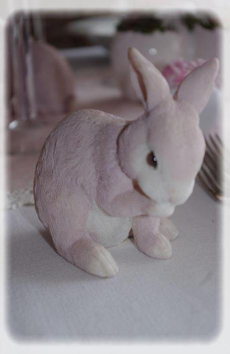 p_ques_rose_037_modifi__1