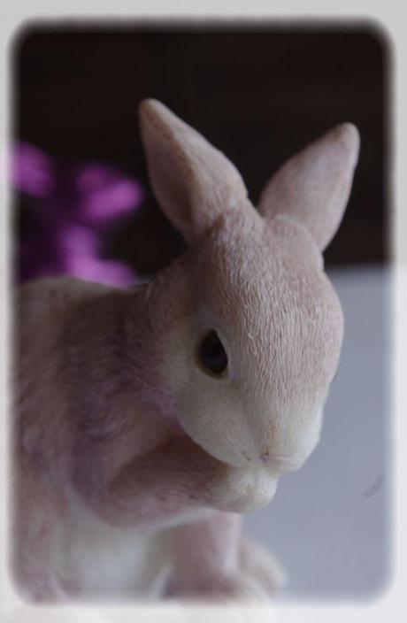 p_ques_rose_076_modifi__1