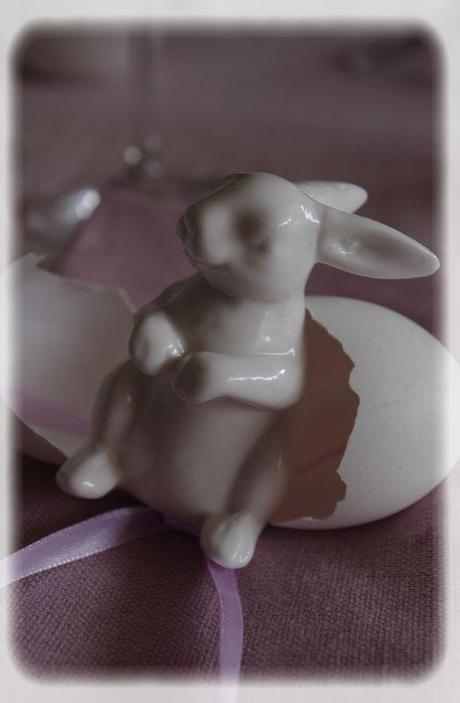 p_ques_rose_086_modifi__1