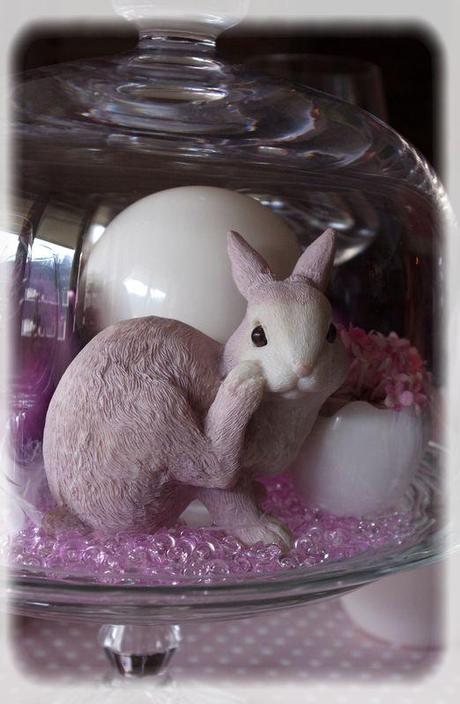 p_ques_rose_013_modifi__1