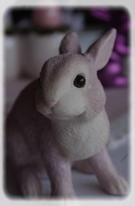 p_ques_rose_080_modifi__1