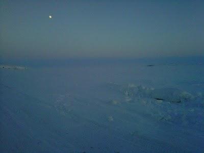 Le journal de bord #13 (l'avant-dernier)