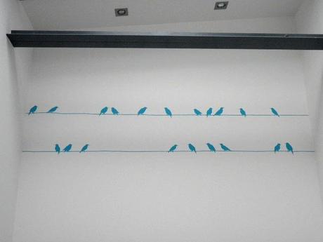 Des étourneaux dans mon escalier