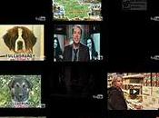 Testé pour vous PsykoTube