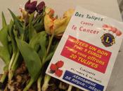 Opération "Tulipes contre cancer"