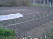 Suivez-moi motte, mars 2011