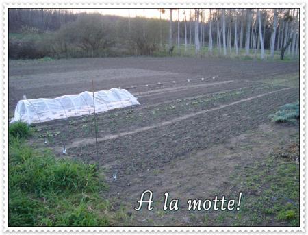 Suivez-moi à la motte, 24 mars 2011