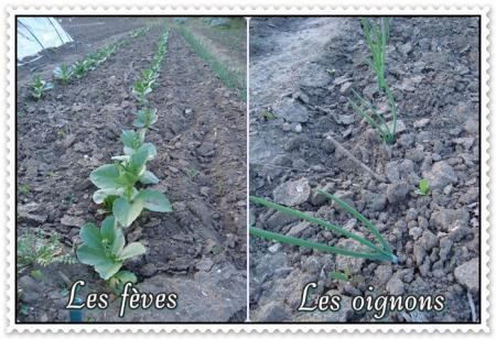 Suivez-moi à la motte, 24 mars 2011