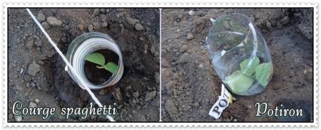 Suivez-moi à la motte, 24 mars 2011