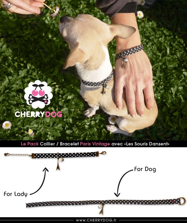 Le super pack : Colliers pour chiens / Bracelets pour femmes