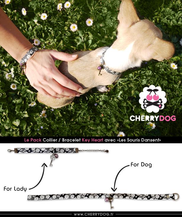 Le super pack : Colliers pour chiens / Bracelets pour femmes