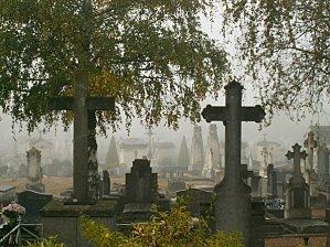 medium_cimetiere-005.jpg