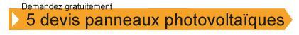 Aides 2011 : coup dur pour le photovoltaïque