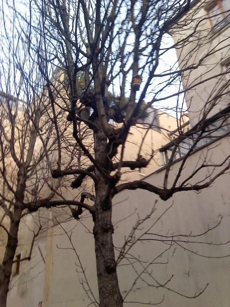 Mark. M. (Dernier épisode de Fils de…)