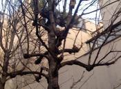 Mark. (Dernier épisode Fils de…)