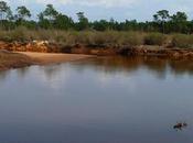 Retour côté prés salés