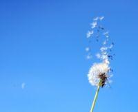 Soyez prudents avec les condamnations provisionnelles dont vous bénéficiez