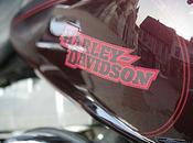 Reflet Harley Davidson