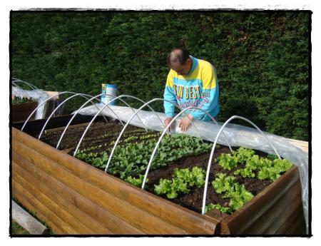 Ca pousse dans les couches, 30 mars 2011