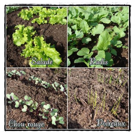 Ca pousse dans les couches, 30 mars 2011