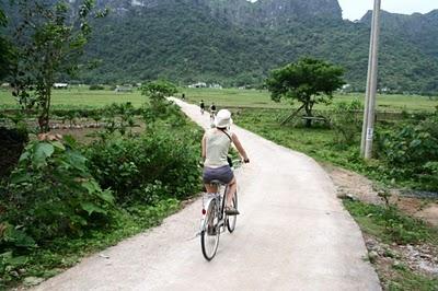 Ballade à vélo dans les rizières