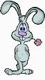 lapin_pt-2.gif