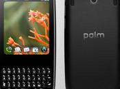 Palm Pixi peur chaleur