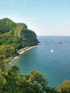 Des requins coquets !