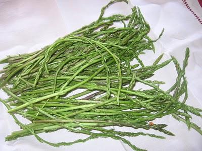 l'asperge sauvage