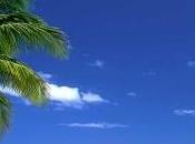 Scellier Pacifique, lieu (30/03/2011)