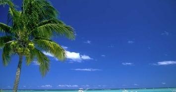 Actualité immobilier neuf 