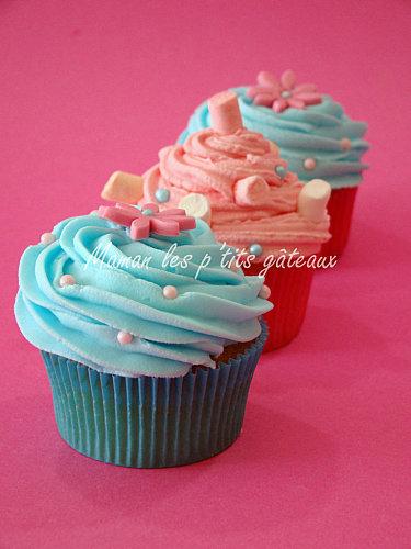 Cupcakes bleu et rose