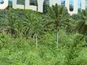 créativité résiste mieux crise