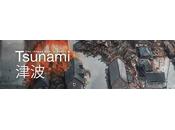 WEB: TELEX Tsunami, projet