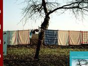 PHOTOGRAPHIE Pascaline MARRE