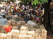 Côte d&#8217;Ivoire Libéria CICR lance appel d&#8217;urgence millions d&#8217;euros