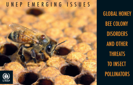 abeilles,apiculture,pesticides,changement climatique,pollinisateur,pollinisation,pollen