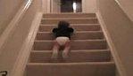 Bébé dévale escaliers singe petite fille chanson