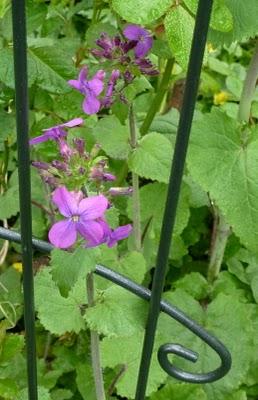 C'est sous la pluie que je me suis efforcée de sortir( do...