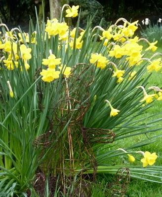 C'est sous la pluie que je me suis efforcée de sortir( do...